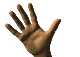 01_28_w.gif
